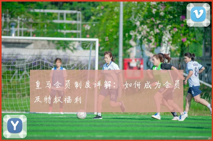 皇马会员制度详解：如何成为会员及特权福利